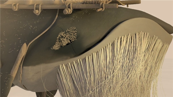 行走的金沙登录网址 行走的金沙登录网址玩法介绍