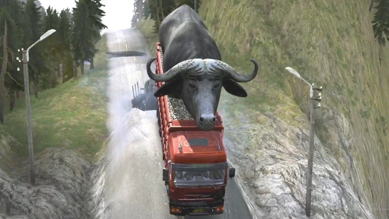 精彩截图-澳门金沙棋牌游戏中文版下载-澳门金沙棋牌2025最新版下载 v1.6 安卓版1