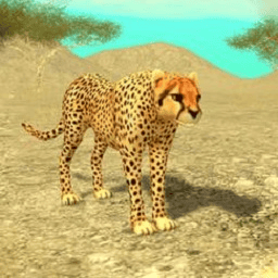 澳门金沙棋牌大全模拟器手游下载-澳门金沙棋牌大全模拟器官方正版(Wild Cheetah Sim)下载 v207 安卓版